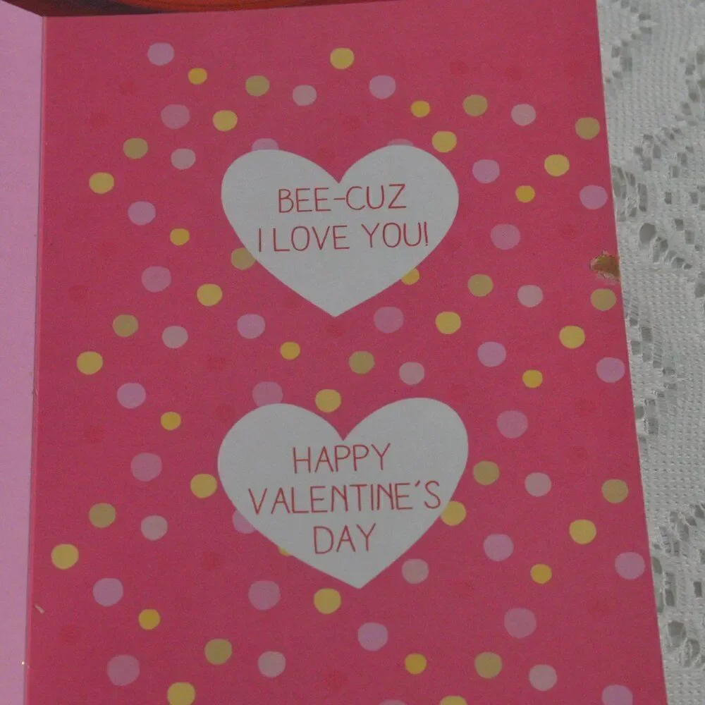 Valentines Day Cards 15 Assorted Brand New with Envelopes